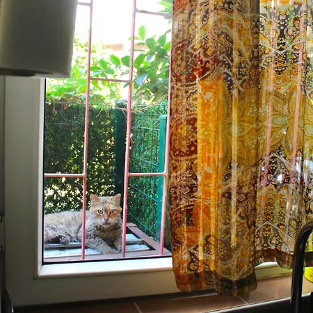 Ibrahim Erdem Appartement *